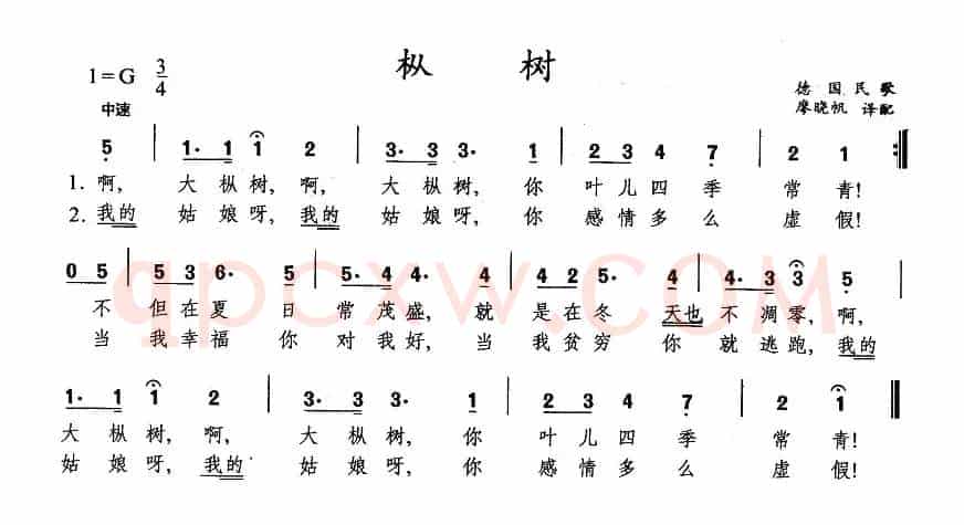 枞树（德）