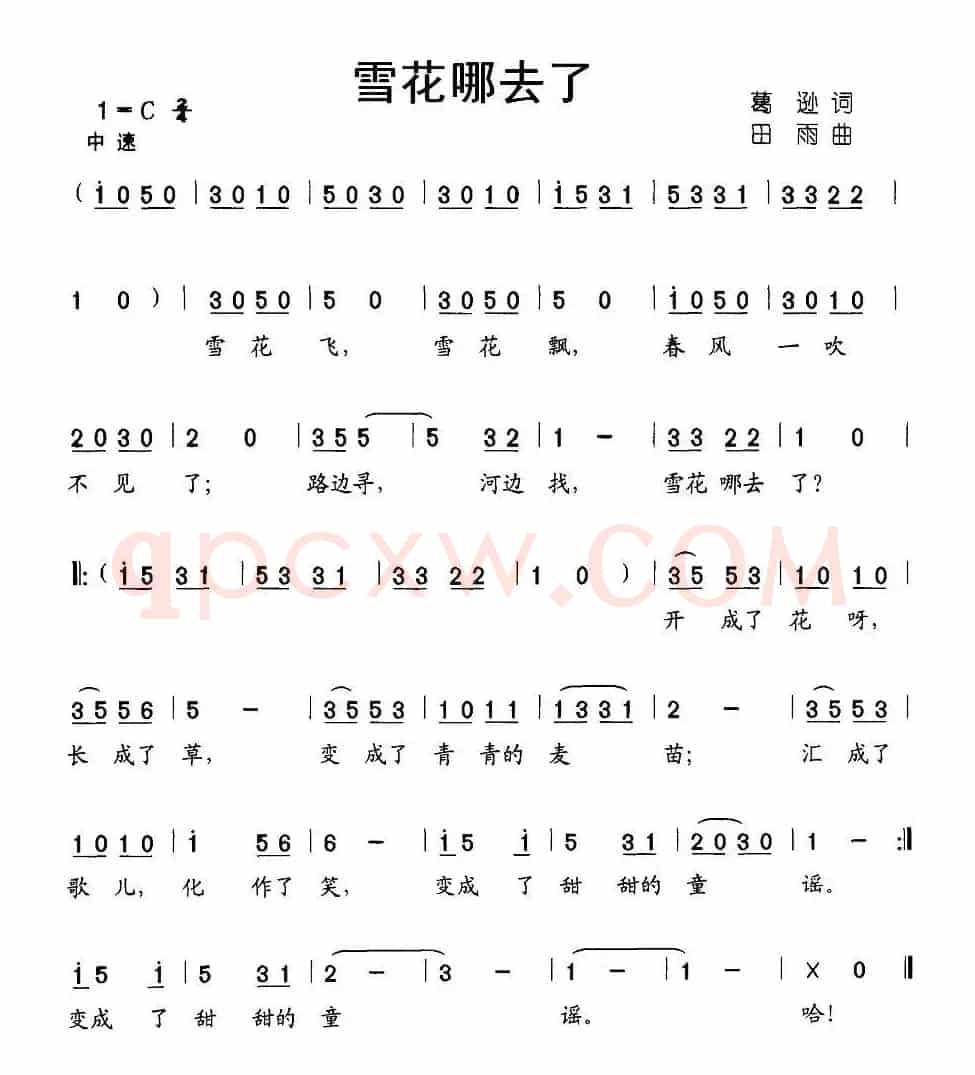 雪花哪去了