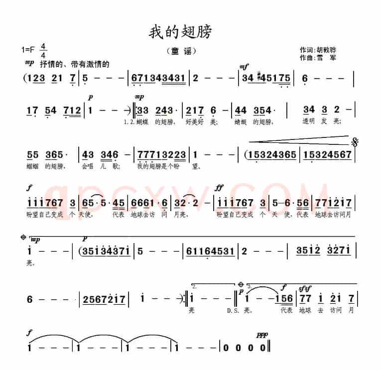 我的翅膀