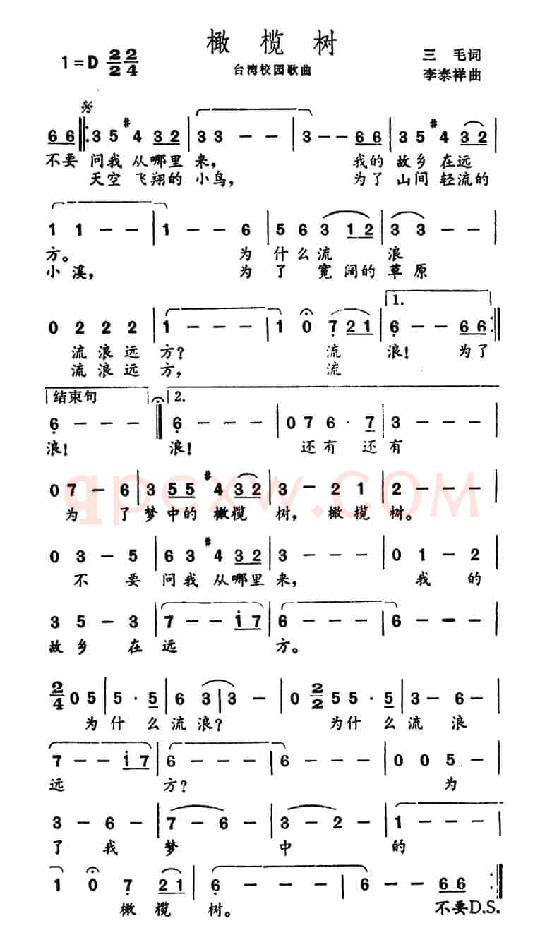 橄榄树