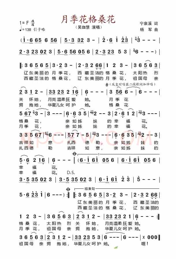 月季花格桑花