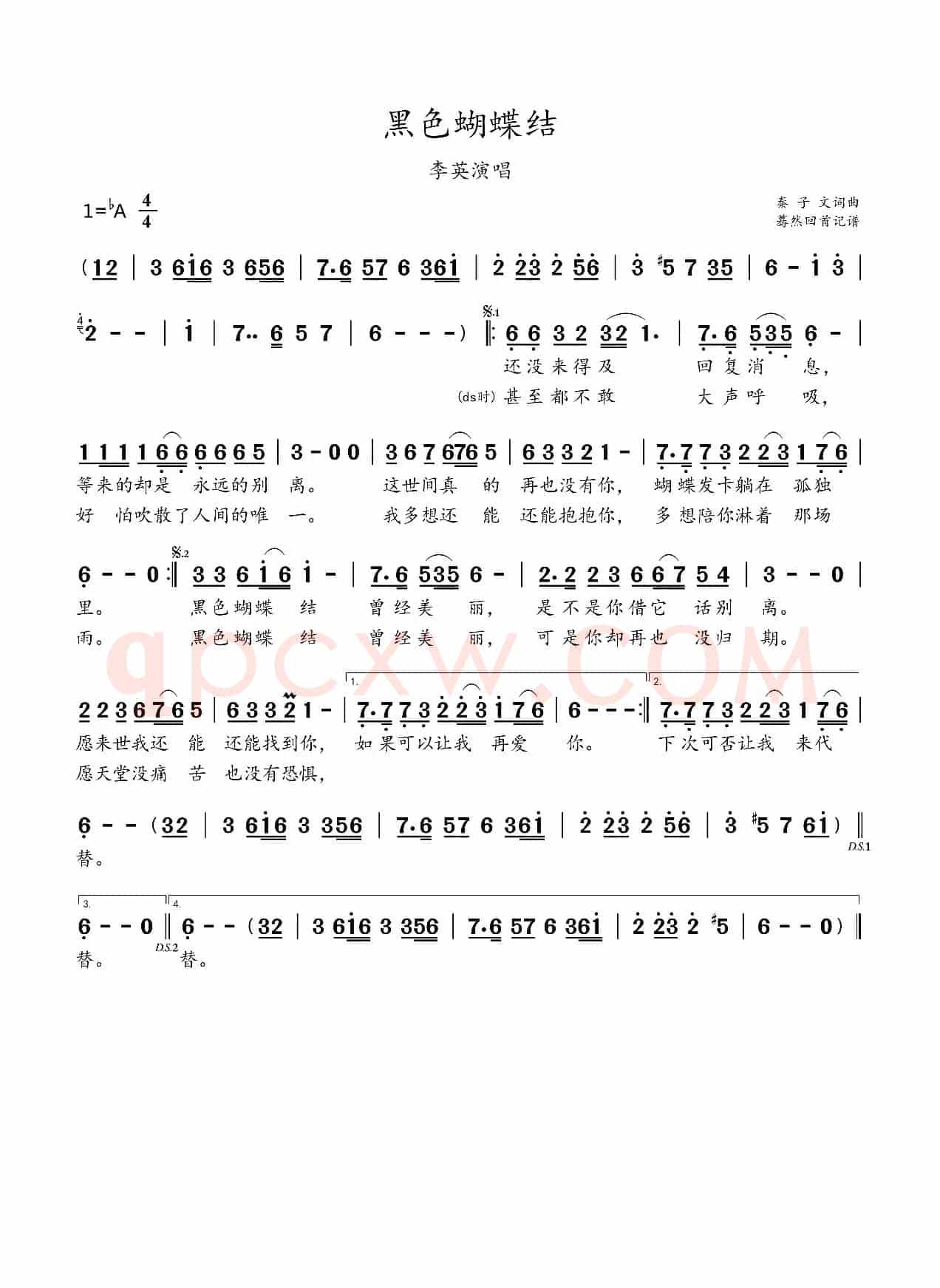 黑色蝴蝶结
