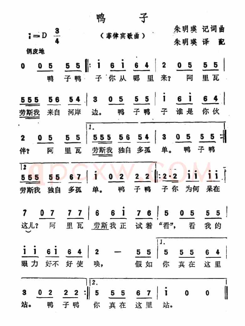 [菲律宾]鸭子