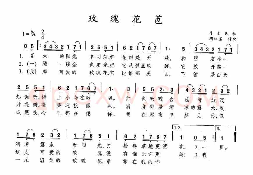 [丹麦]玫瑰花苞