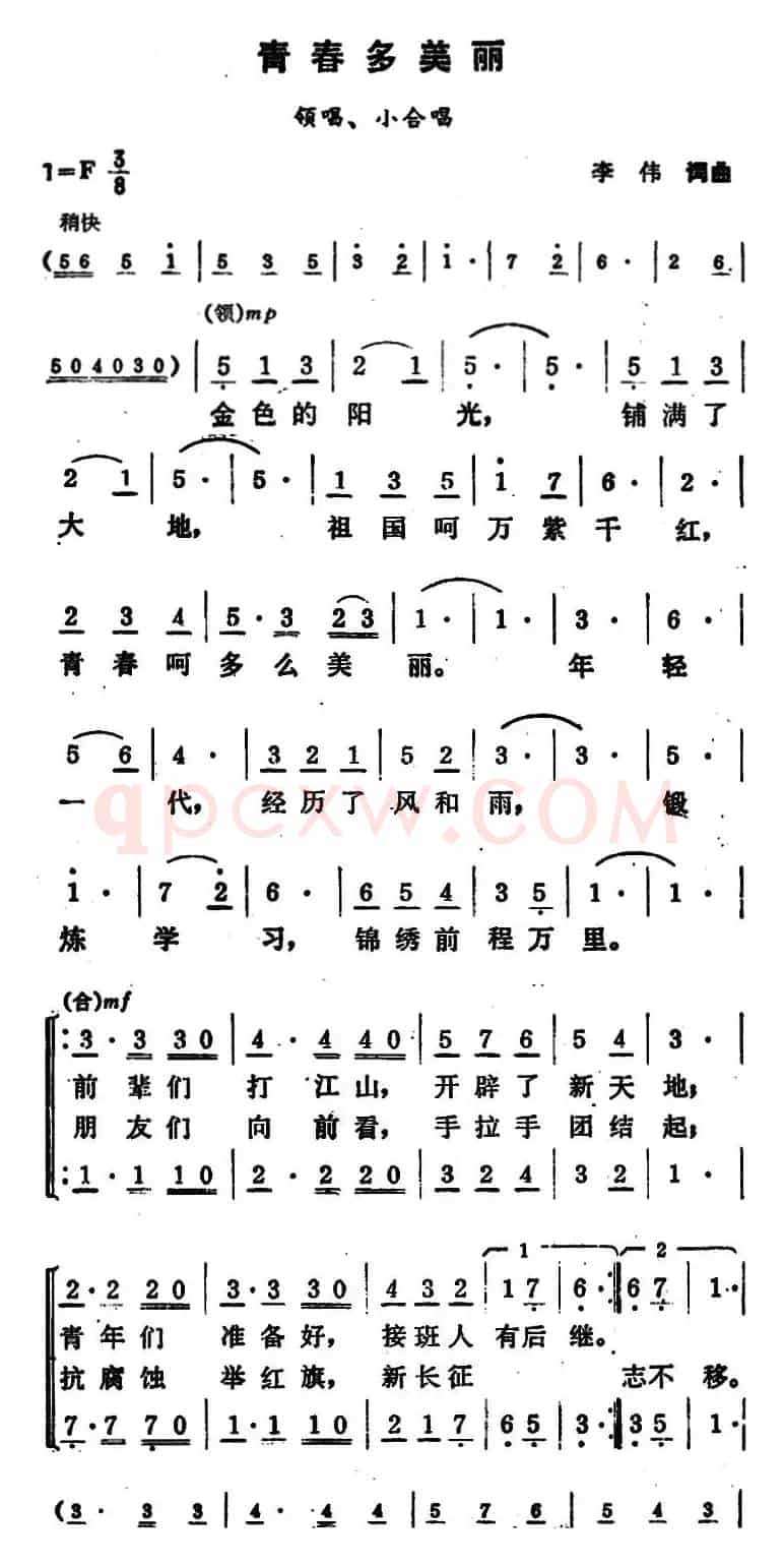 青春多美丽