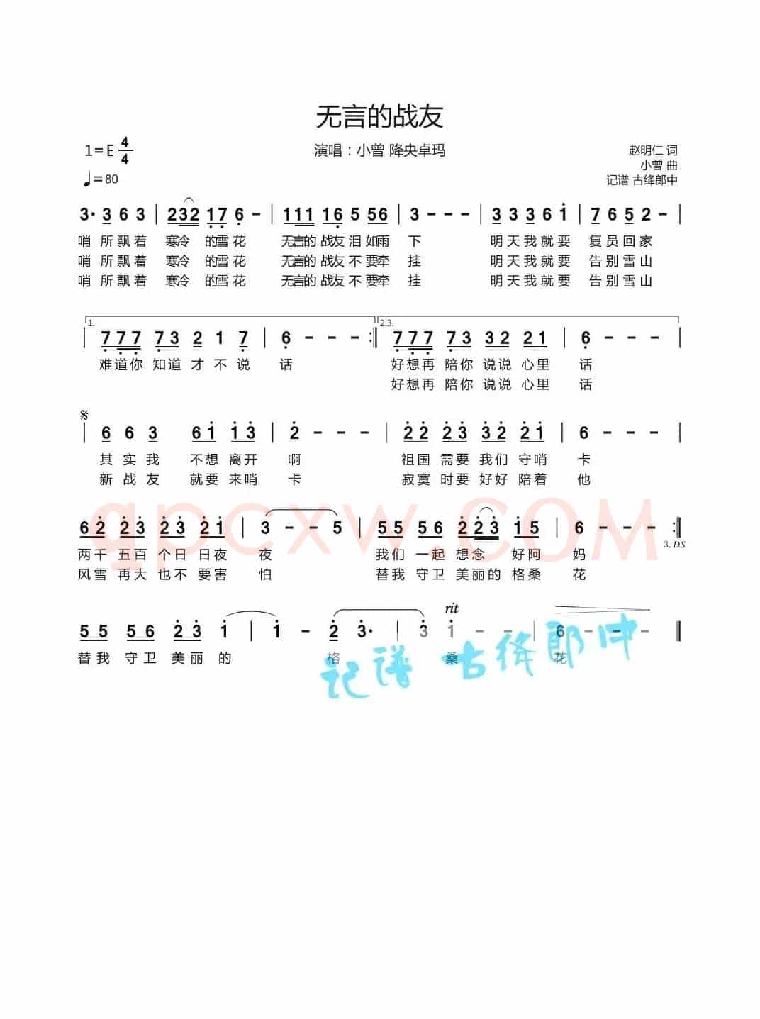 无言的战友