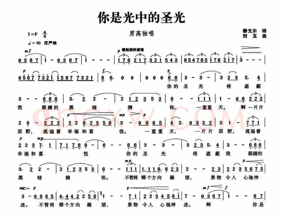 你是光中的圣光
