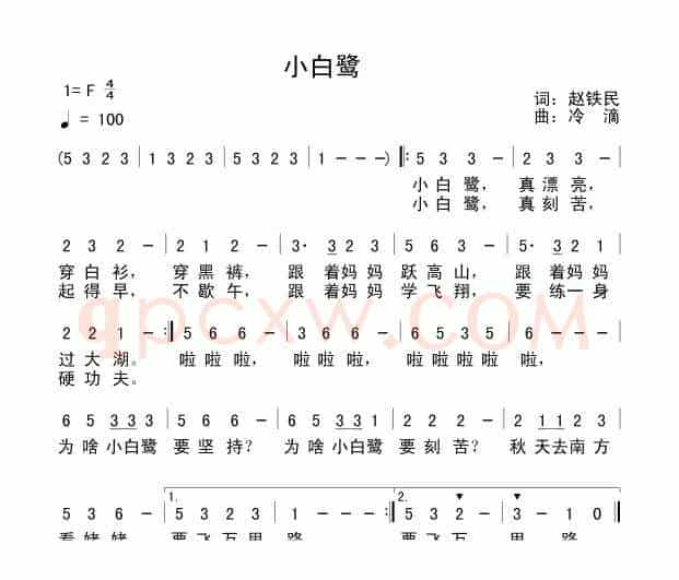 小白鹭
