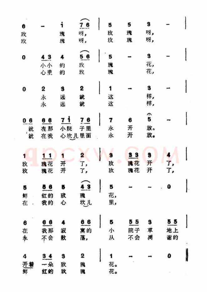 [日]玫瑰花开了