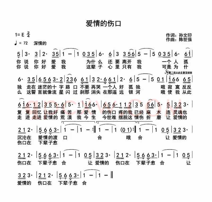 爱情的伤口