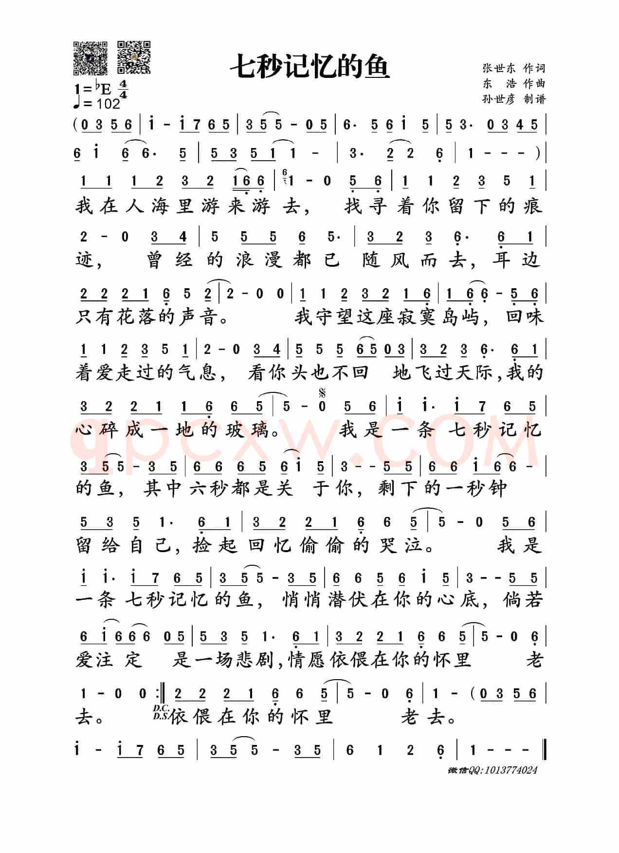 七秒记忆的鱼