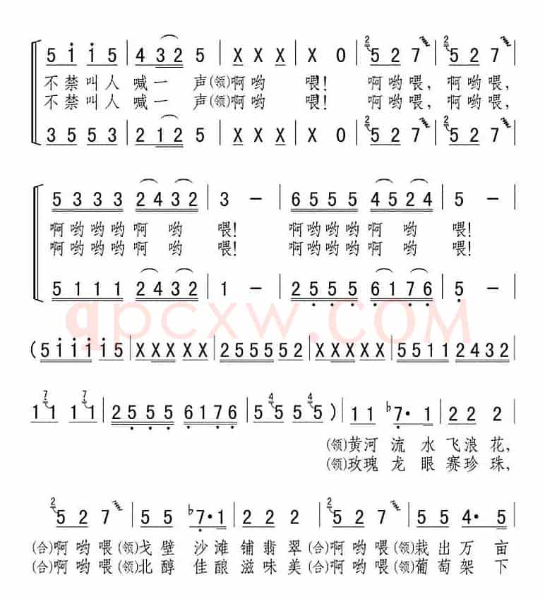 沙窝的葡萄“啊哟喂”