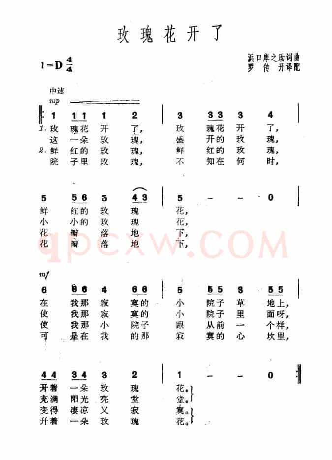 [日]玫瑰花开了