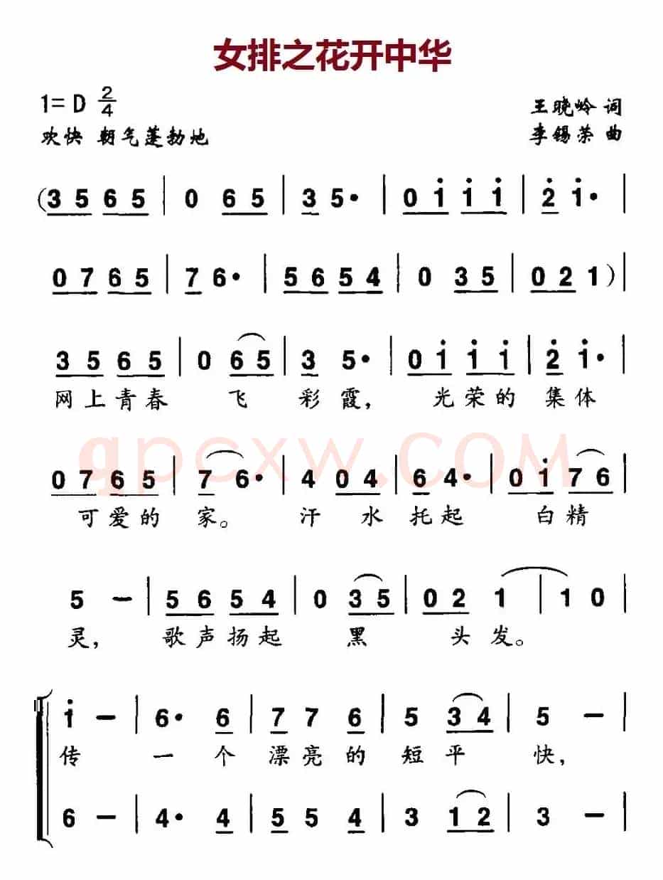 女排之花开中华