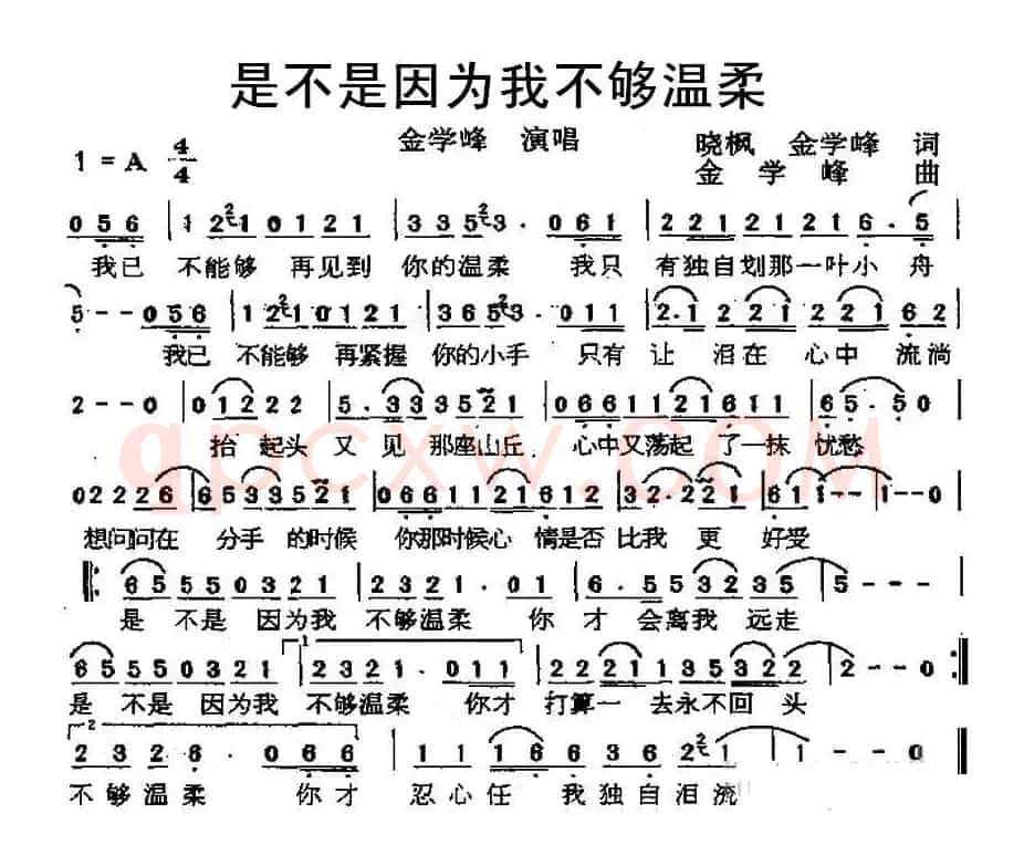 是不是因为我不够温柔