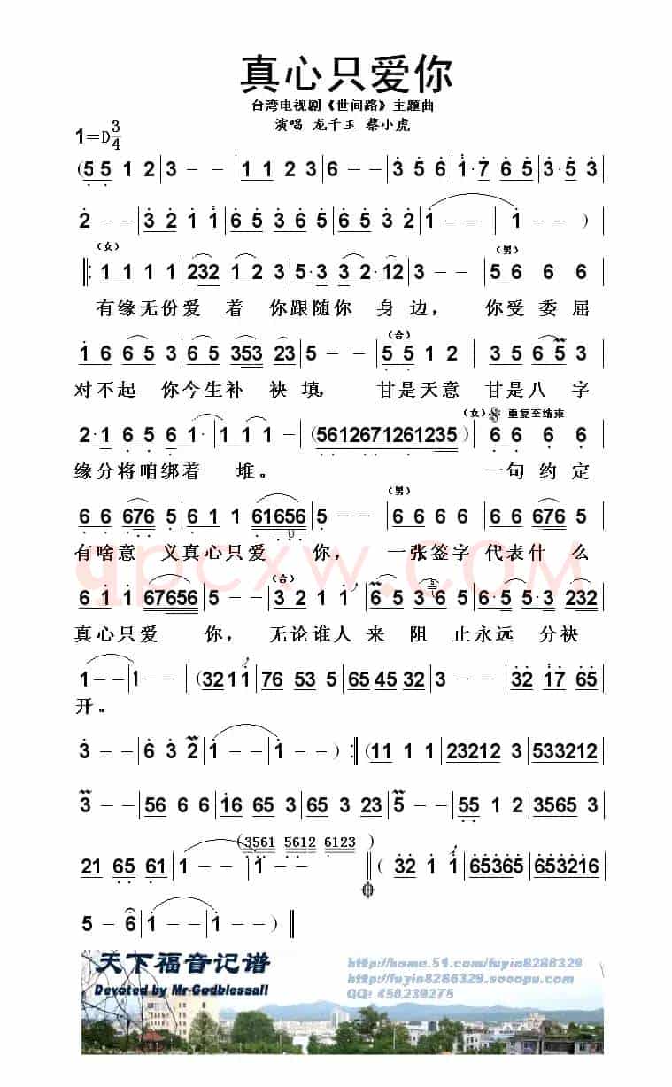 真心只爱你（电视剧《世间路》主题曲）