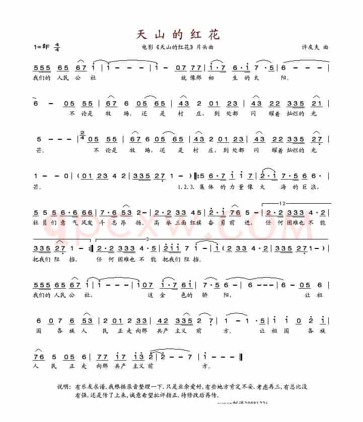 天山的红花