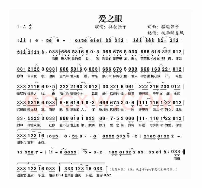 爱之眼