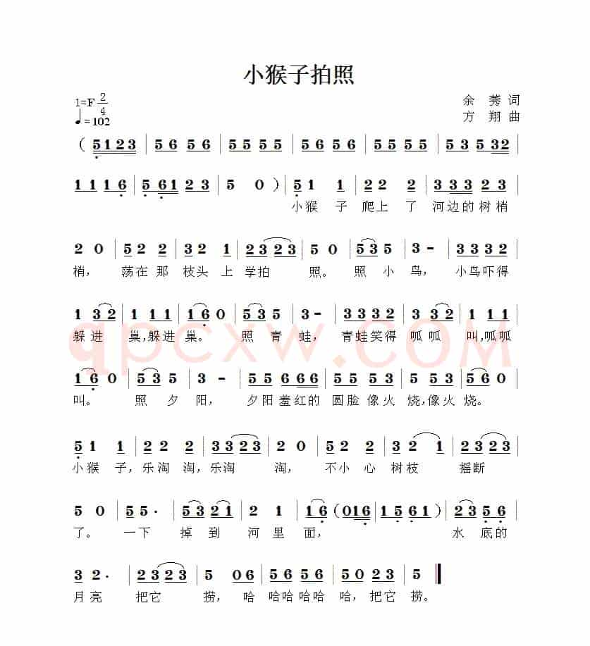 小猴子拍照