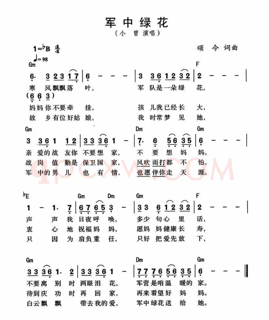 军中绿花（颂今词曲、带和弦版）