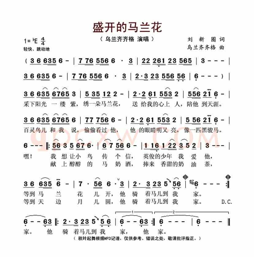 盛开的马兰花