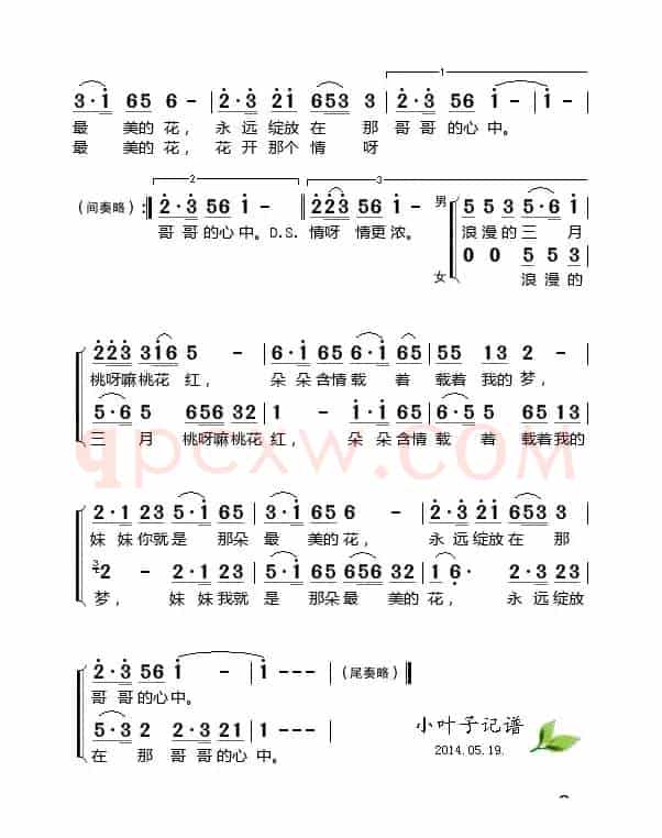 浪漫三月桃花红