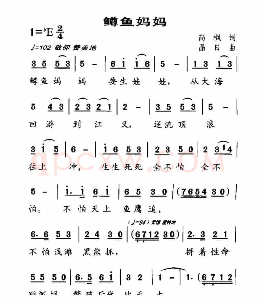 鳟鱼妈妈