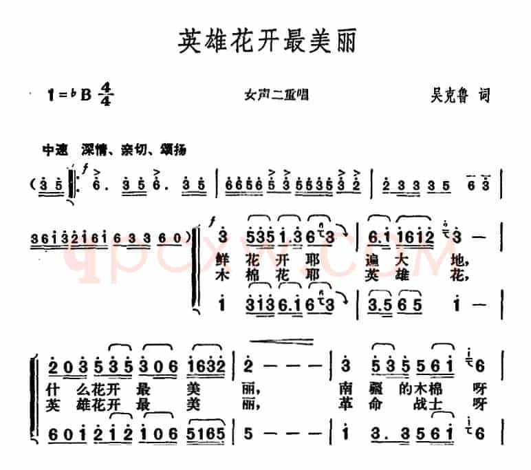 英雄花开最美丽