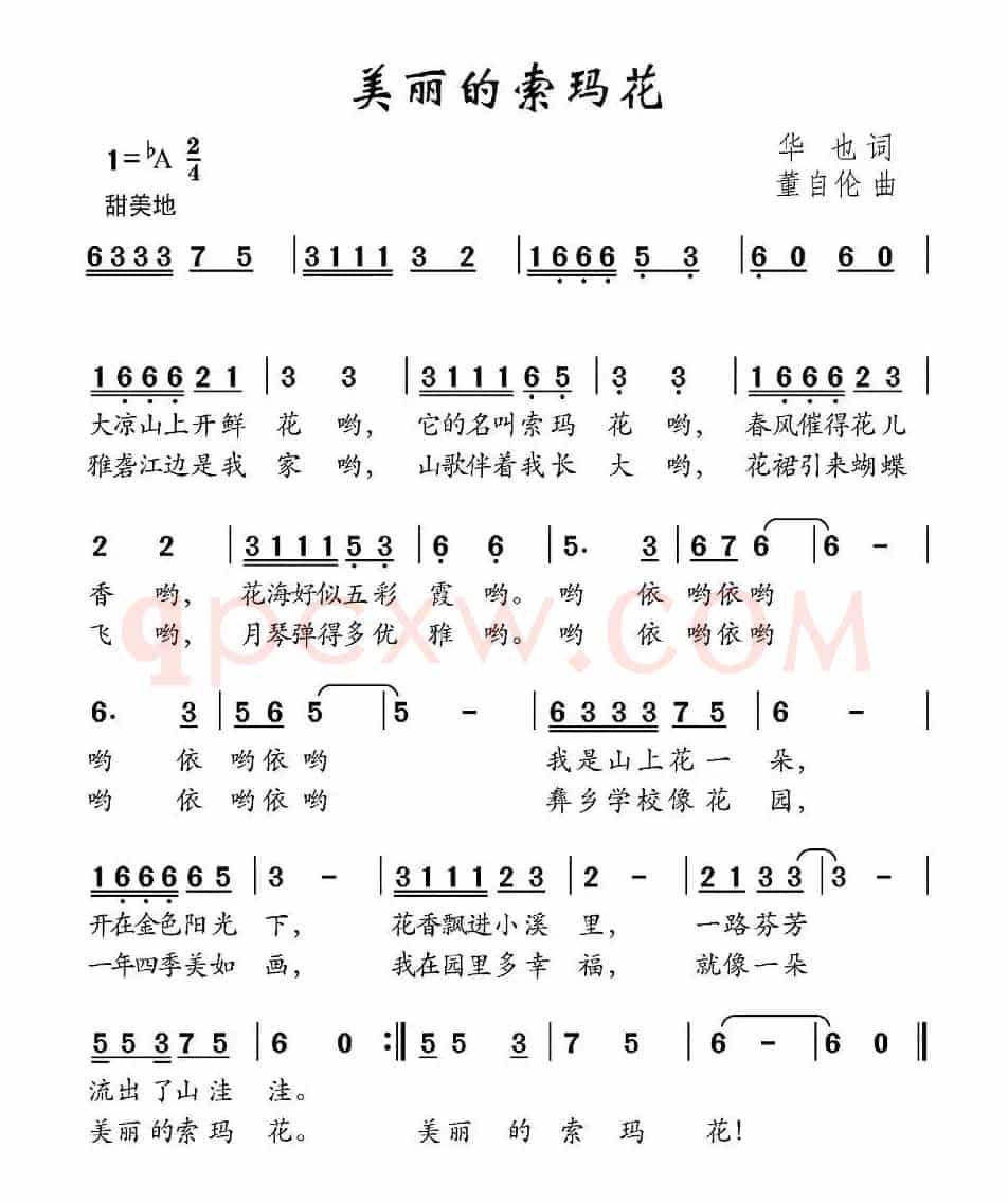美丽的索玛花