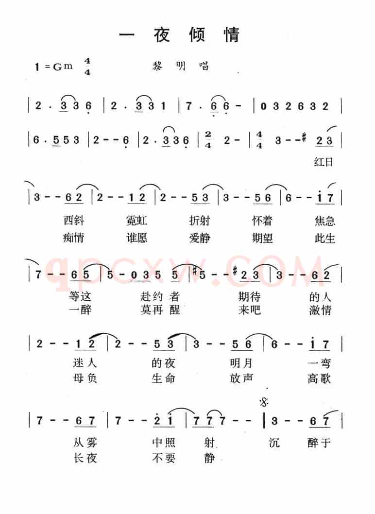 一夜倾情