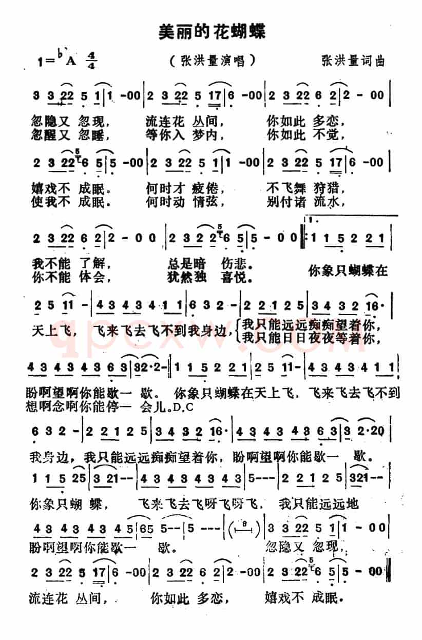 美丽的花蝴蝶(张洪量词 张洪量曲)