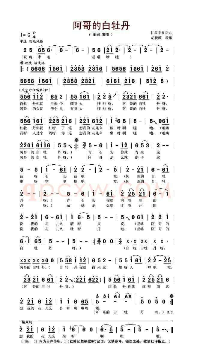 阿哥的白牡丹（胡晓流改编版）