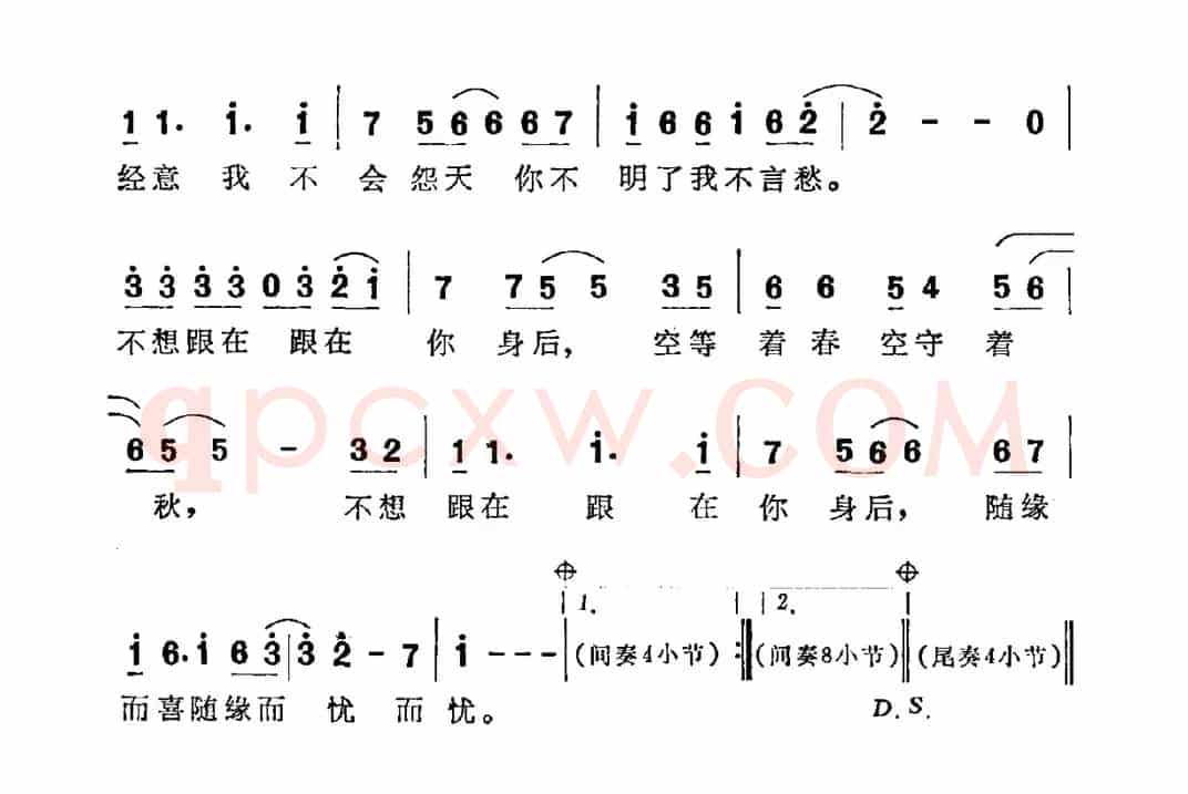 不想跟在你身后