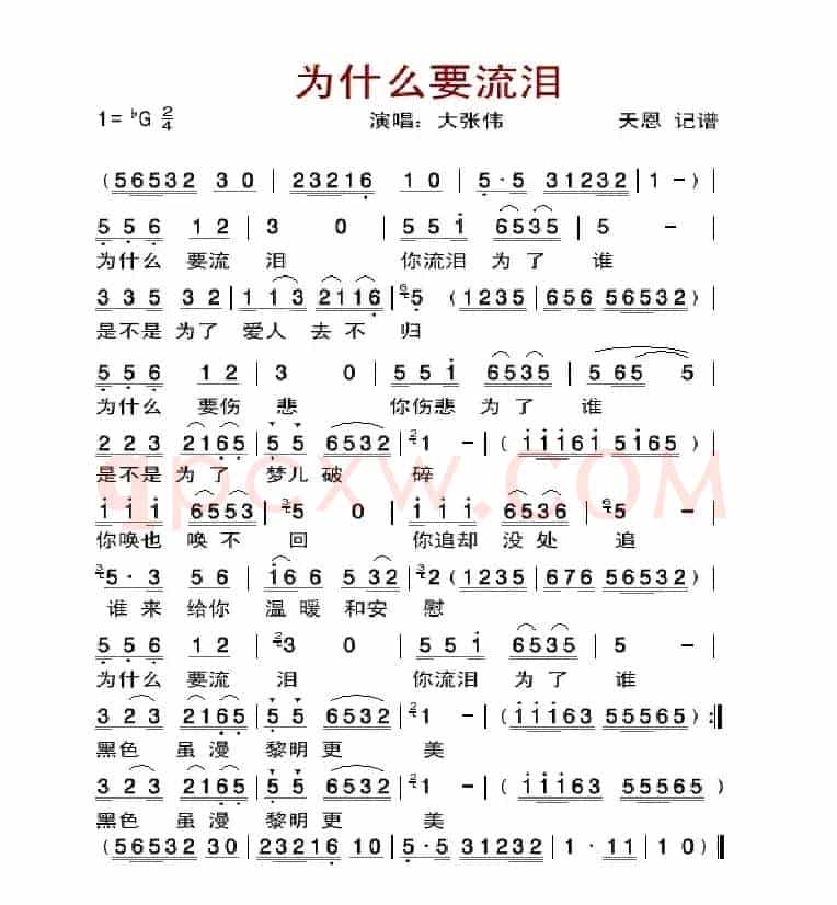 为什么要流泪（大张伟演唱版）