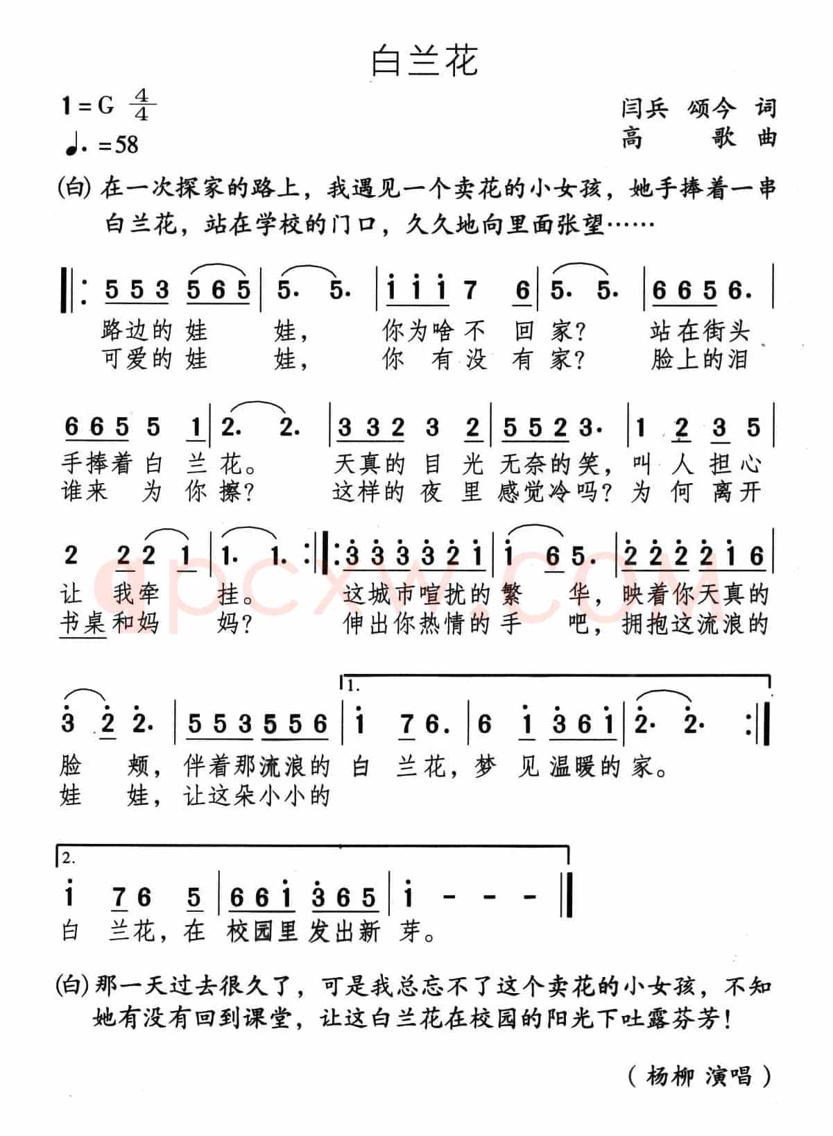 白兰花