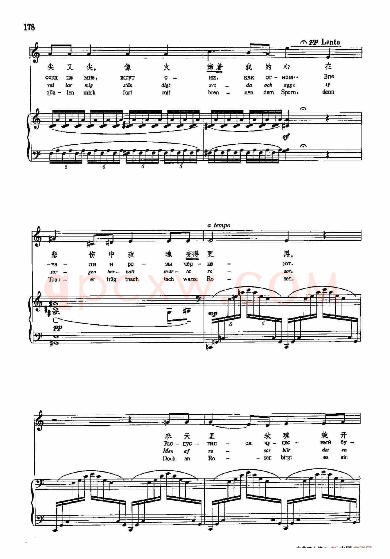 声乐教学曲库5-40黑色的玫瑰（正谱）