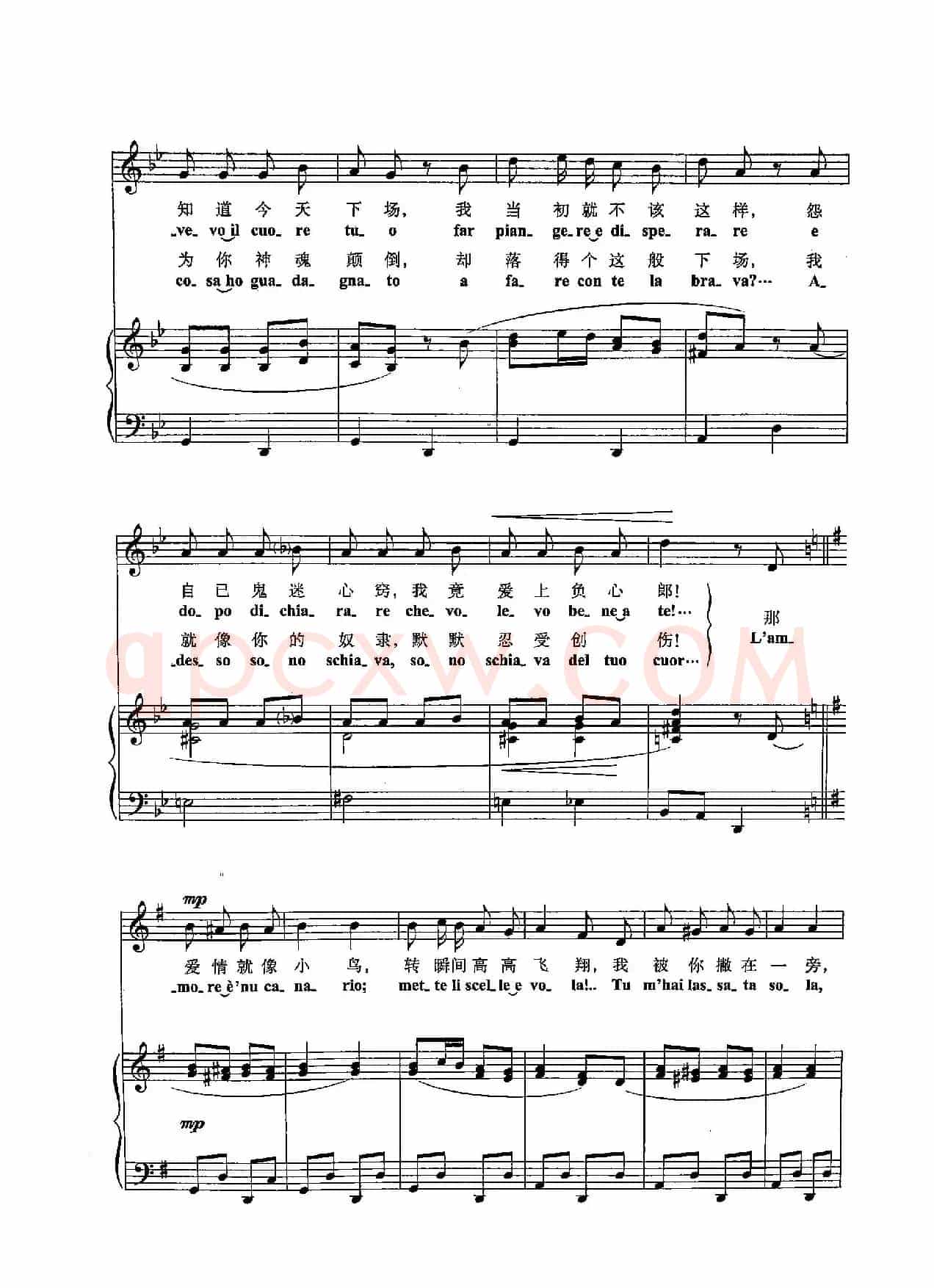 [意]41爱情就像小鸟（正谱）