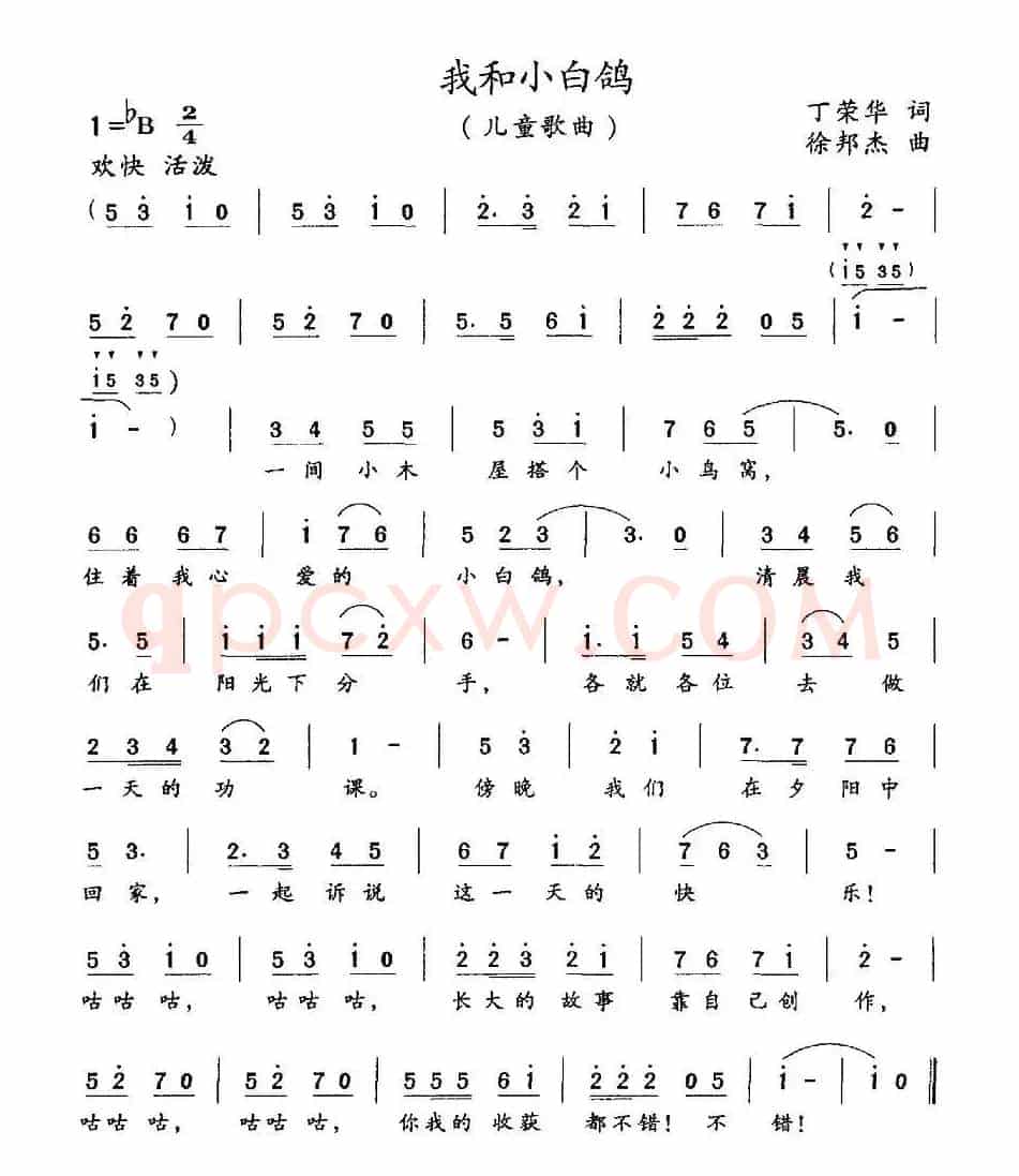 我和小白鸽