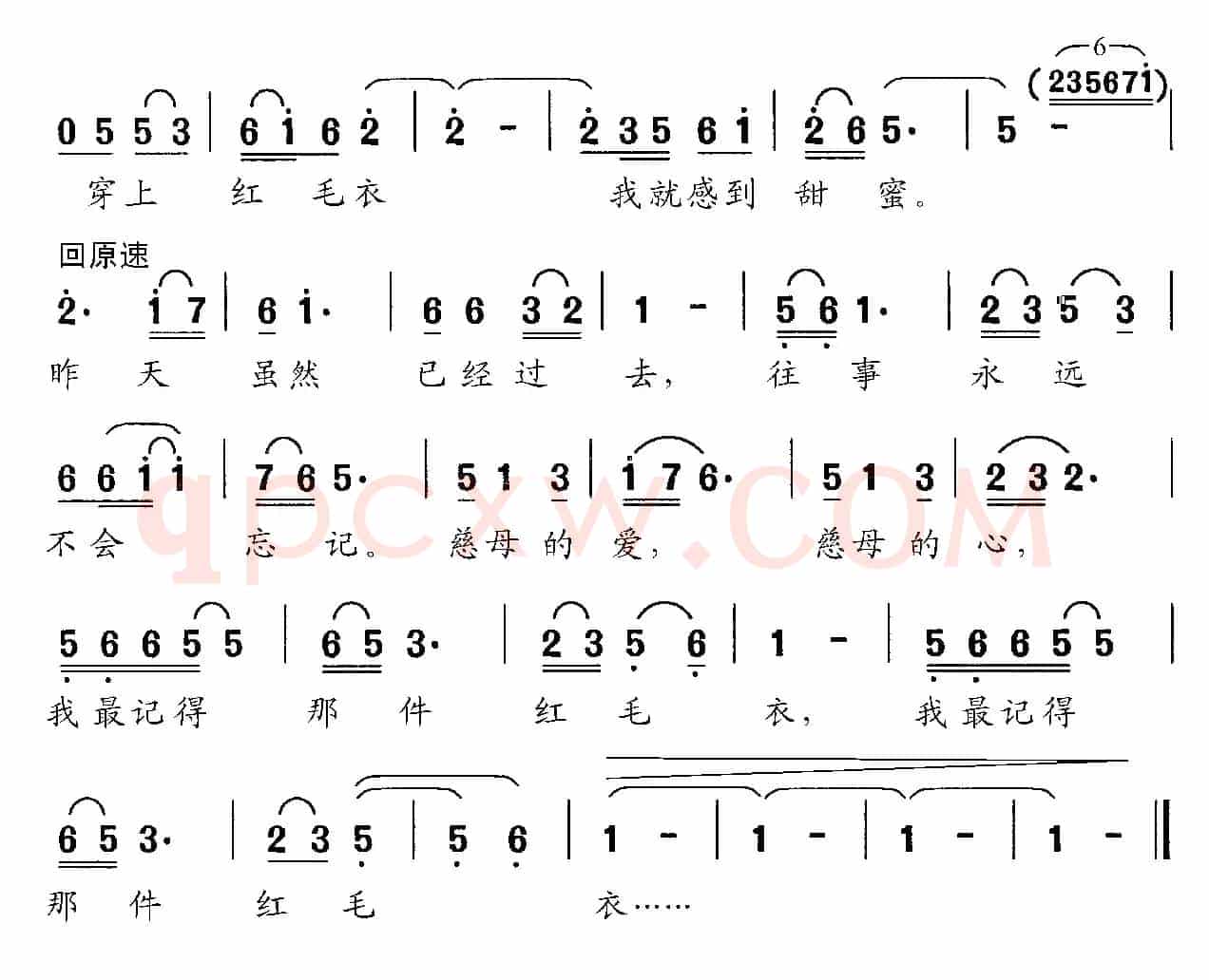 红毛衣