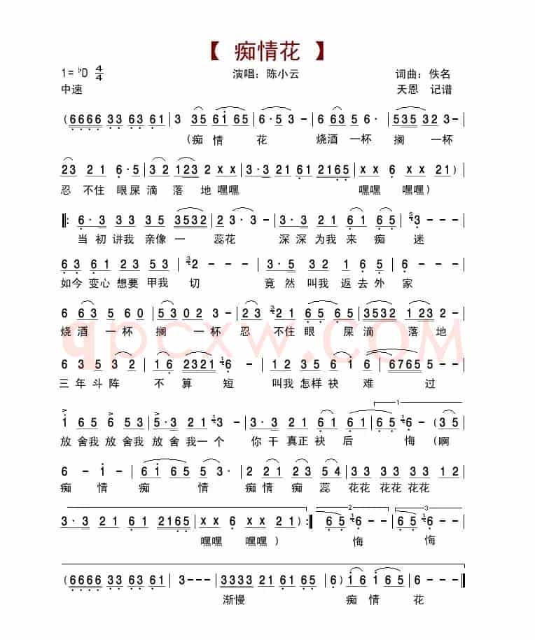 痴情花(陈小云演唱版)