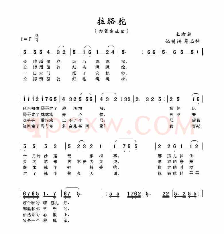 拉骆驼（内蒙古山曲）
