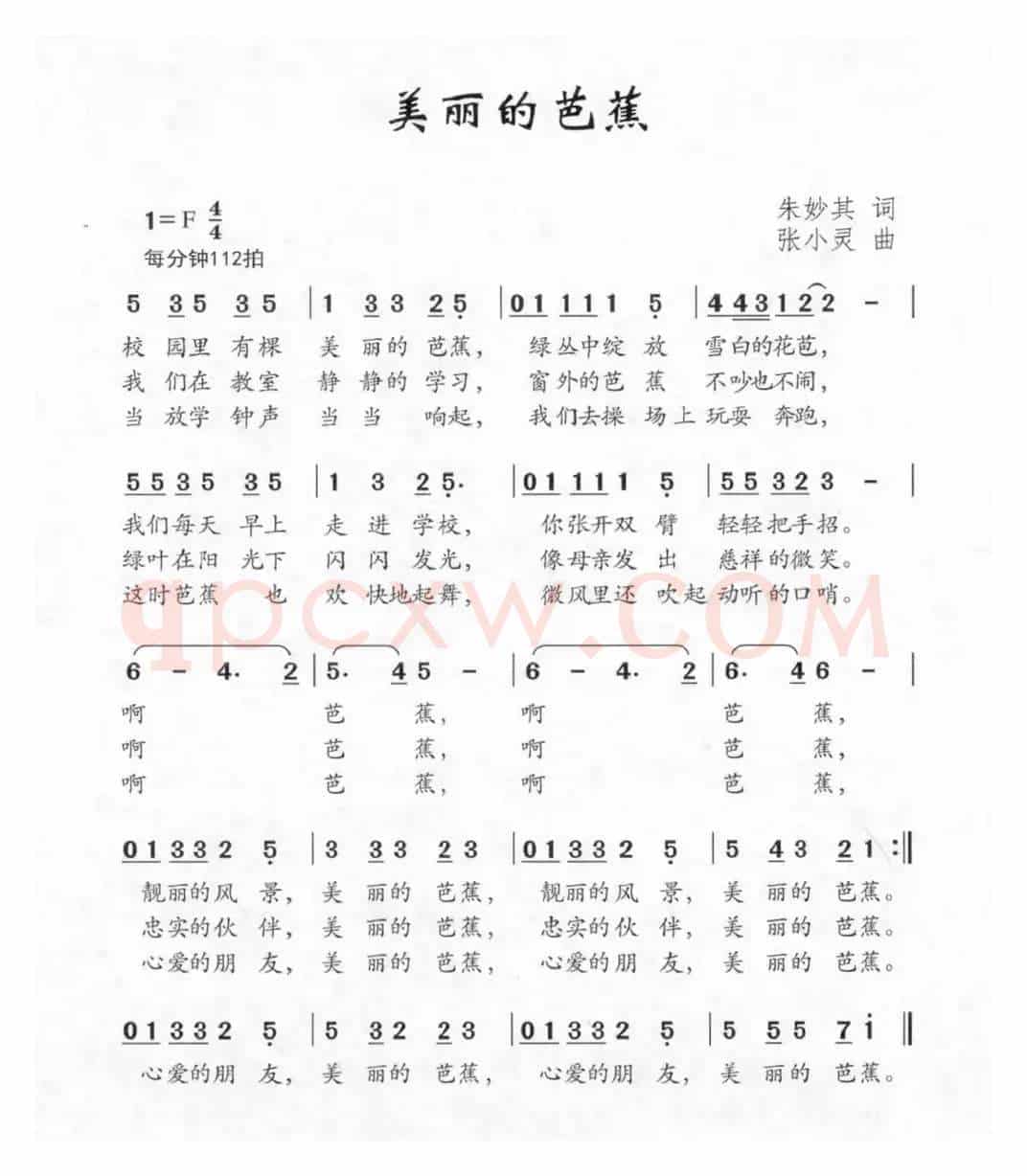 美丽的芭蕉
