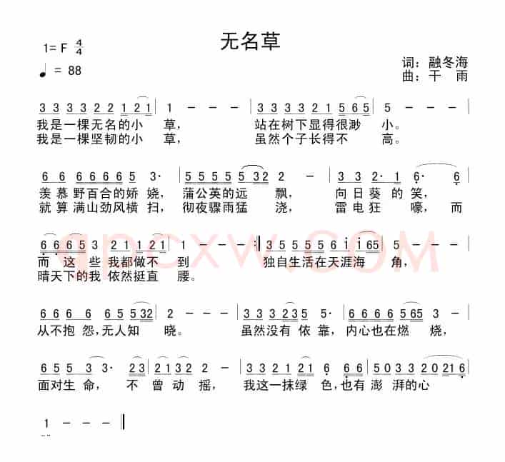 无名草
