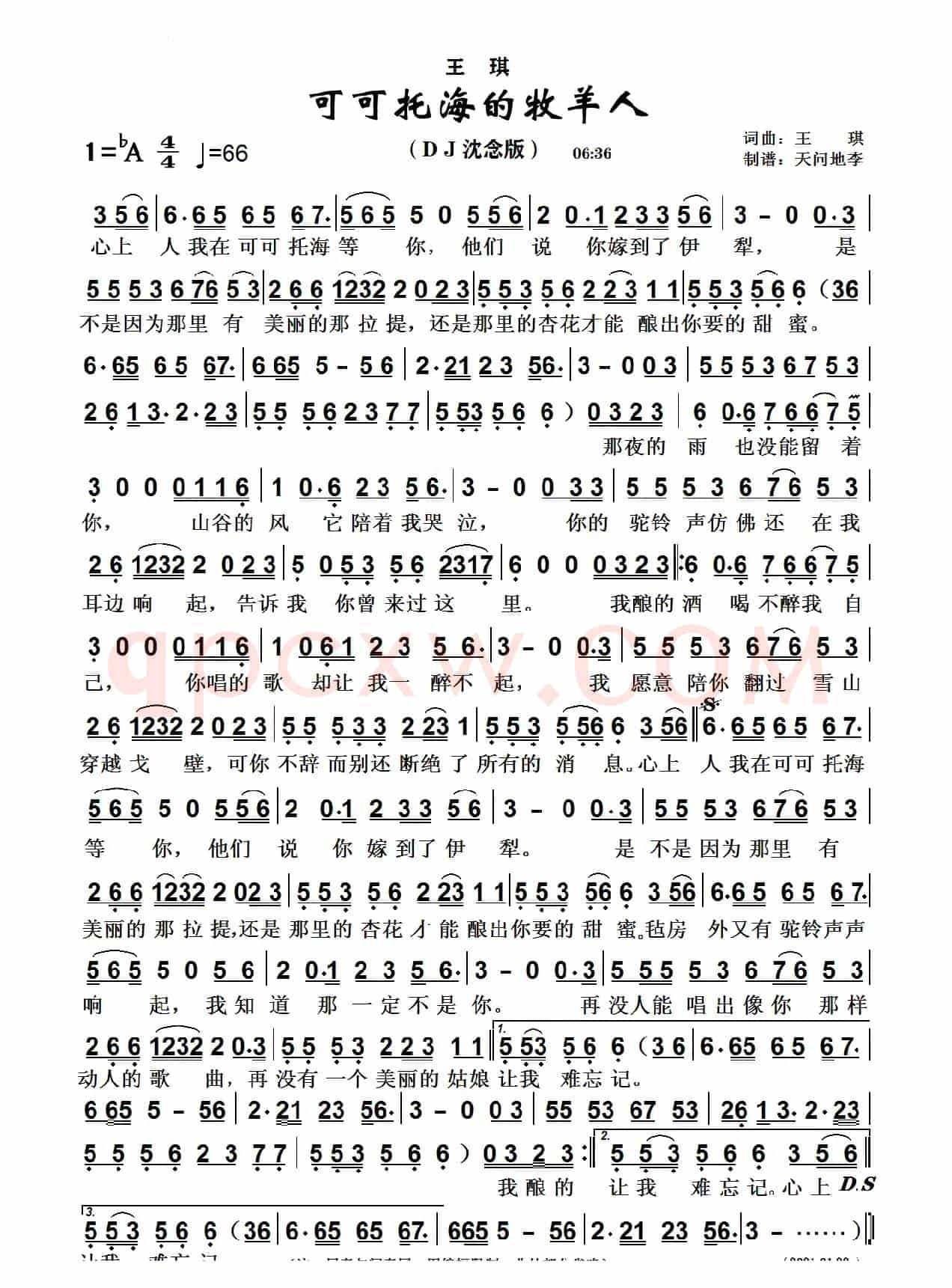 可可托海的牧羊人（DJ沈念版）