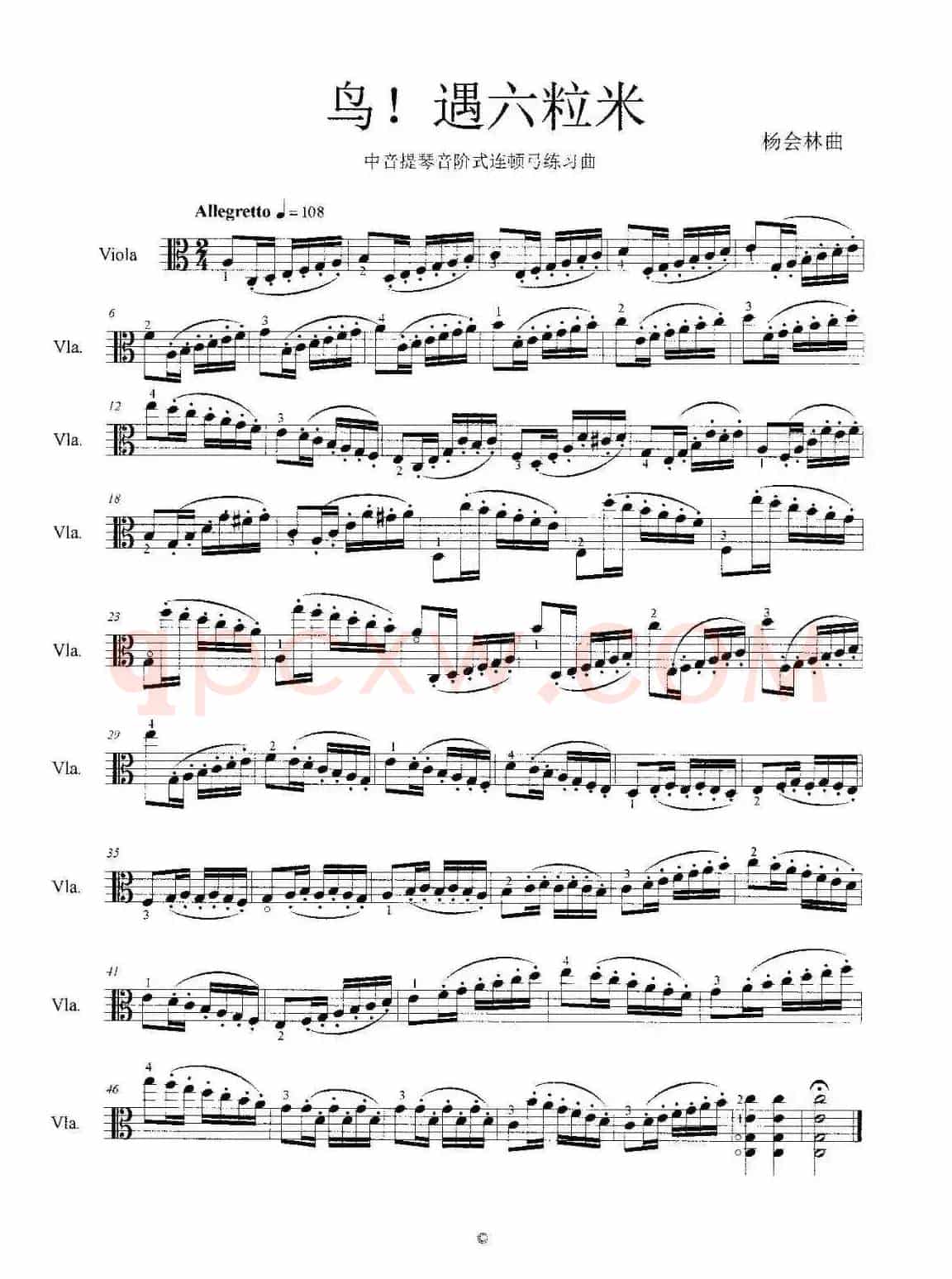 鸟！遇六粒米（中音提琴音阶式连顿弓练习曲）