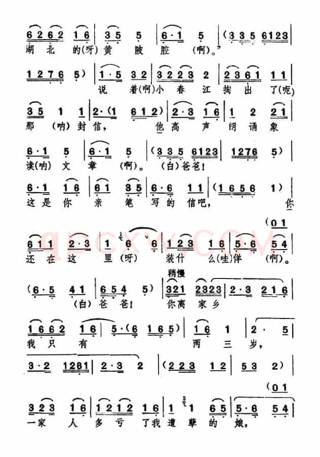 [湖北大鼓]亲生儿子闹洞房