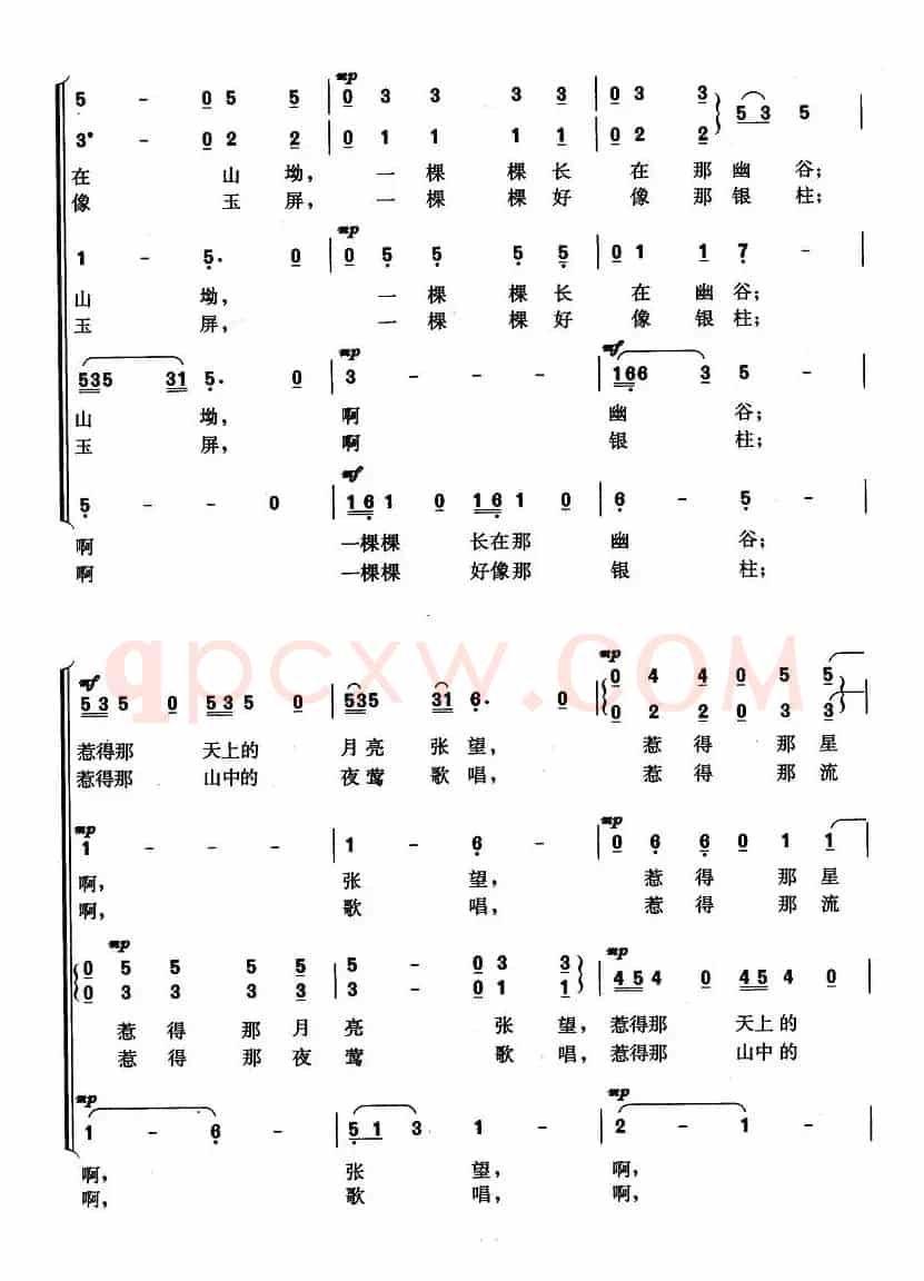 苗乡星星树