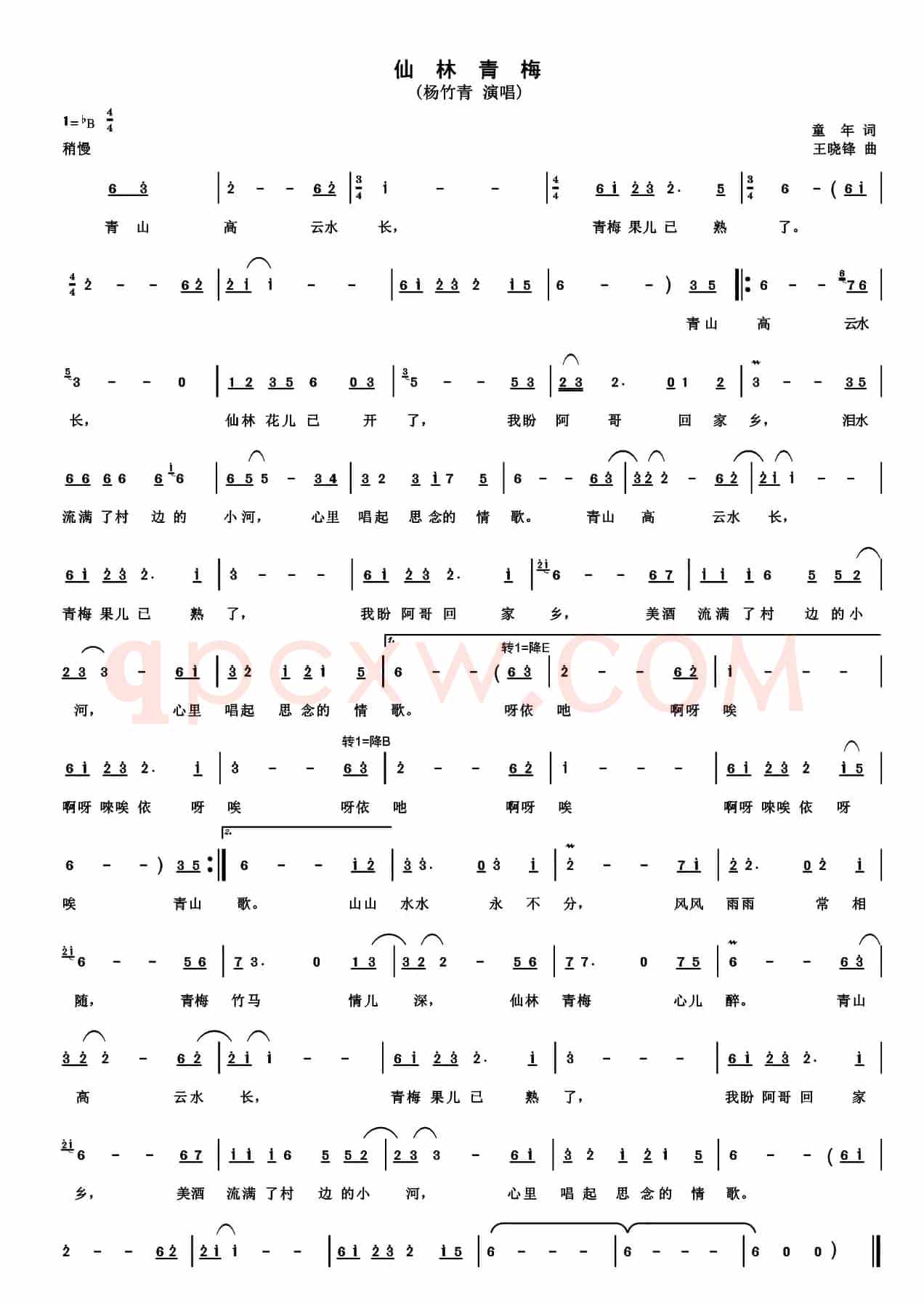 仙林青梅