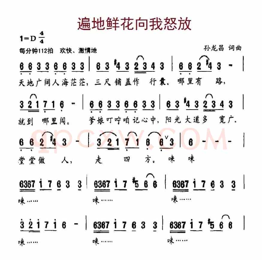 遍地鲜花向我怒放