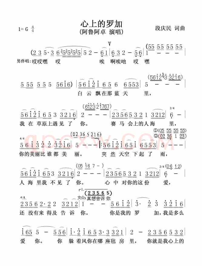 心上的罗加